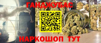 крисы Новозыбков
